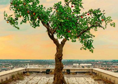 Künstlicher Apfelbaum für das Video: Kontra K - Adam & Eva