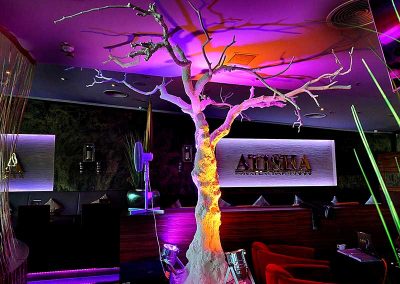 Kahler weißer künstlicher Baum (300 cm hoch) - eindrucksvoll beleuchtet