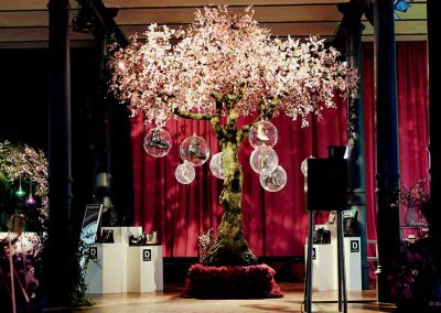 Blühender Kirschbaum (350 cm Höhe, 400 cm Kronendurchmesser)