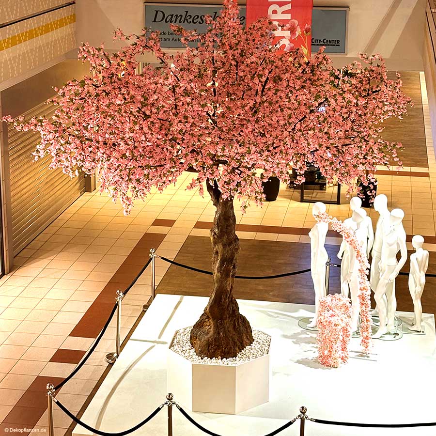 Großer Kirschblütenbaum (XXL) im City Center