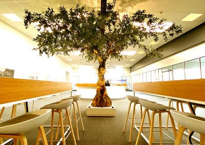Künstlicher XXL Olivenbaum im Empfangsbereich eines Unternehmers in Dortmund (Durchmesser Baumkrone ca. 600 cm)