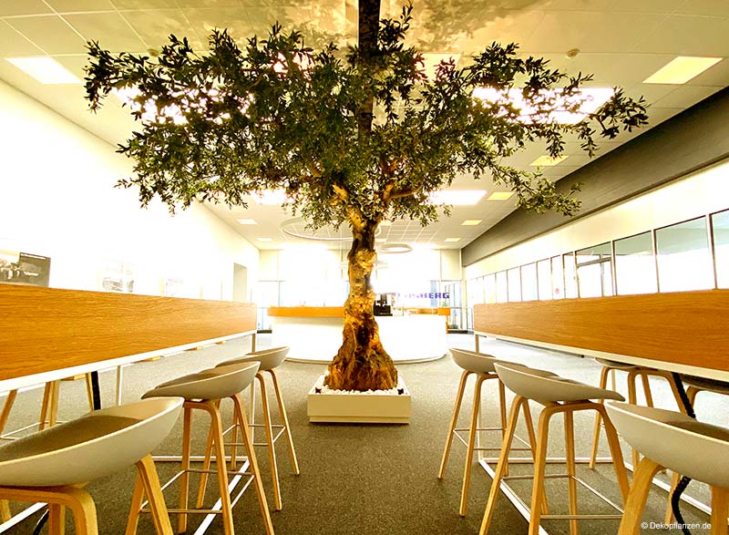 Künstlicher XXL Olivenbaum im Empfangsbereich eines Unternehmers in Dortmund (Durchmesser Baumkrone ca. 600 cm)