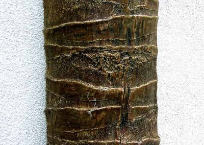 Künstlicher Palmenstamm aus Glasfaser (ca. 30 cm stark)