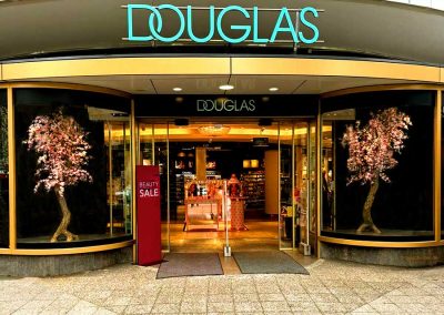 Zwei Kirschblüten-Dekobäume (230 cm Höhe)