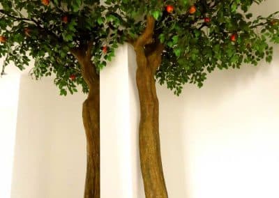 Eine dekorative Lösung um (starke) Stützen/Pfeiler zu kaschieren: "Zwillingsbäume".